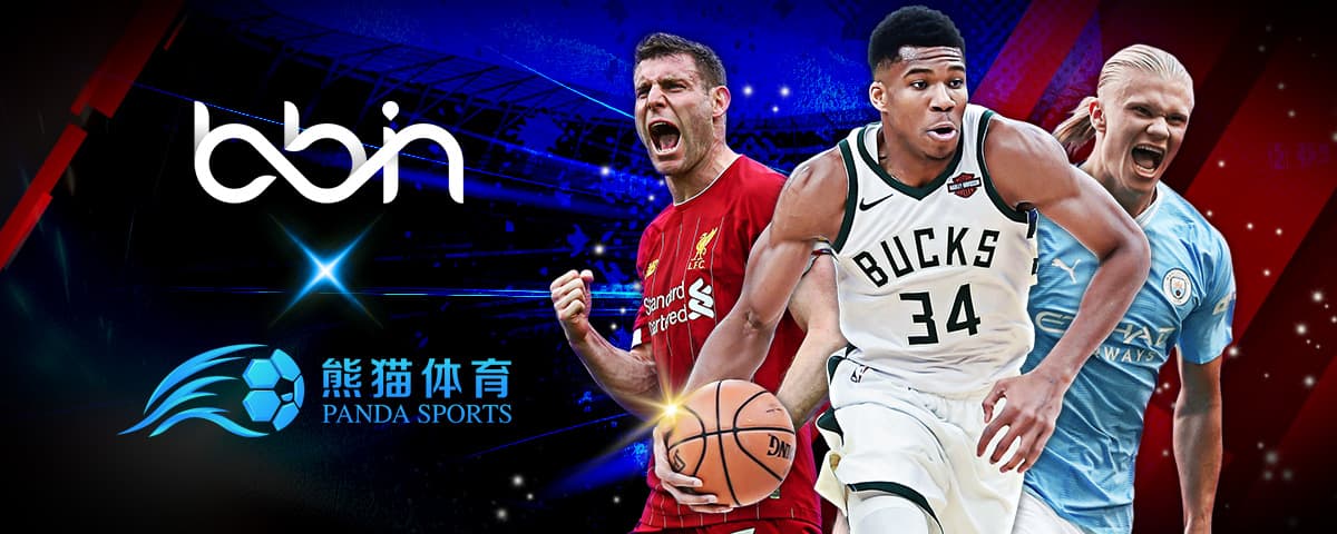 团结精神的